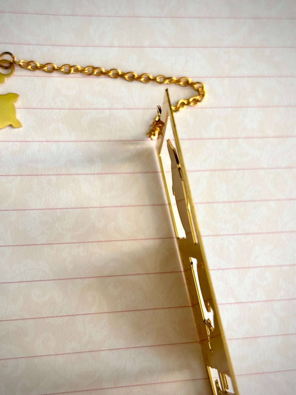 Raccoons | original design | Enamel Bookmark / Charm | 11x4cm